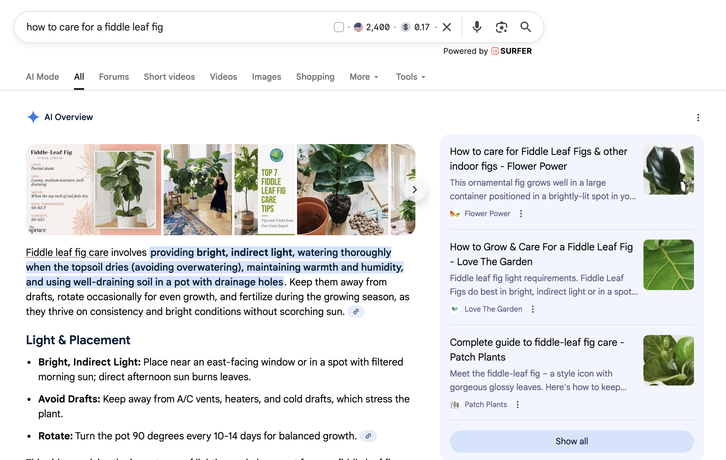 search results showing an AI overview